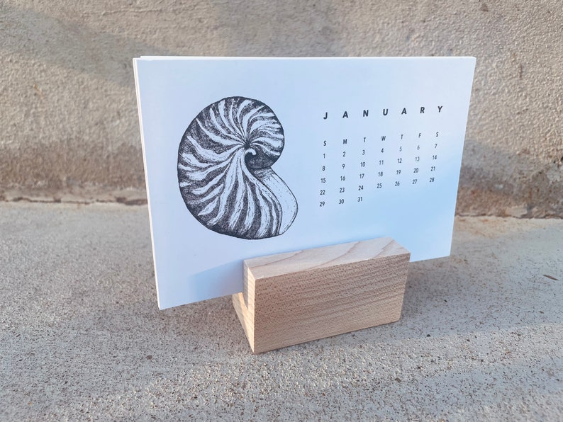 2023 Calendar Shells Theme Etsy
