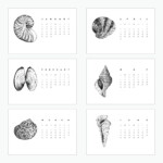 2023 Calendar Shells Theme Etsy