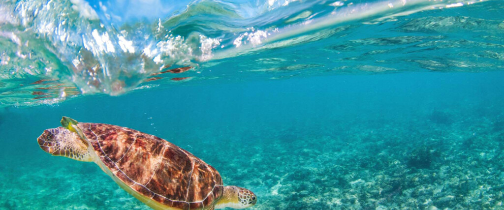 Cayman Islands Public Holidays 2022 PublicHolidays la