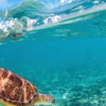 Cayman Islands Public Holidays 2022 PublicHolidays la