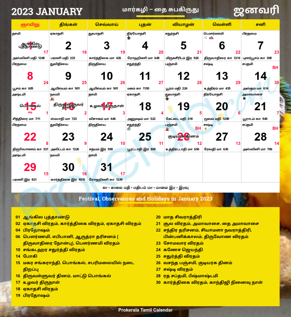 Tamil Calendar 2023 Tamil Nadu Festivals Tamil Nadu Holidays 2023