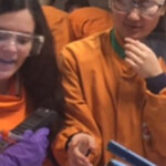 The GSK Science Challenge Presdales School Sixth Form Ware